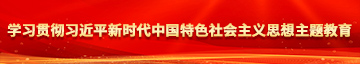 美女插小穴视频免费观看学习贯彻习近平新时代中国特色社会主义思想主题教育