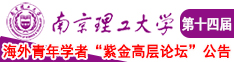 美女逼逼电影南京理工大学第十四届海外青年学者紫金论坛诚邀海内外英才！